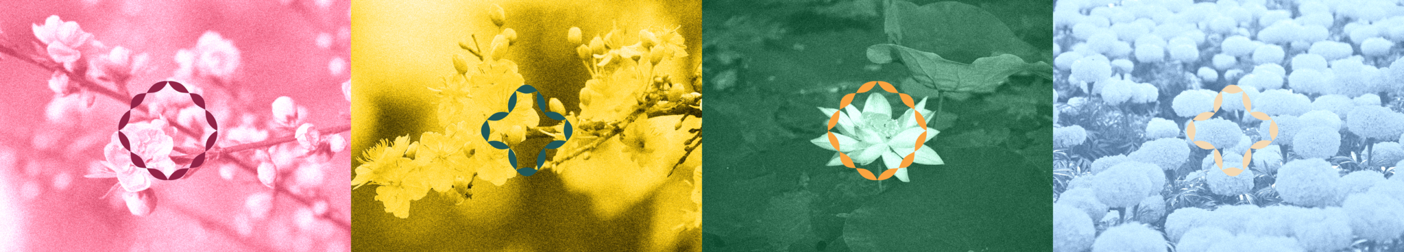 DISAN DesignRush Finalist